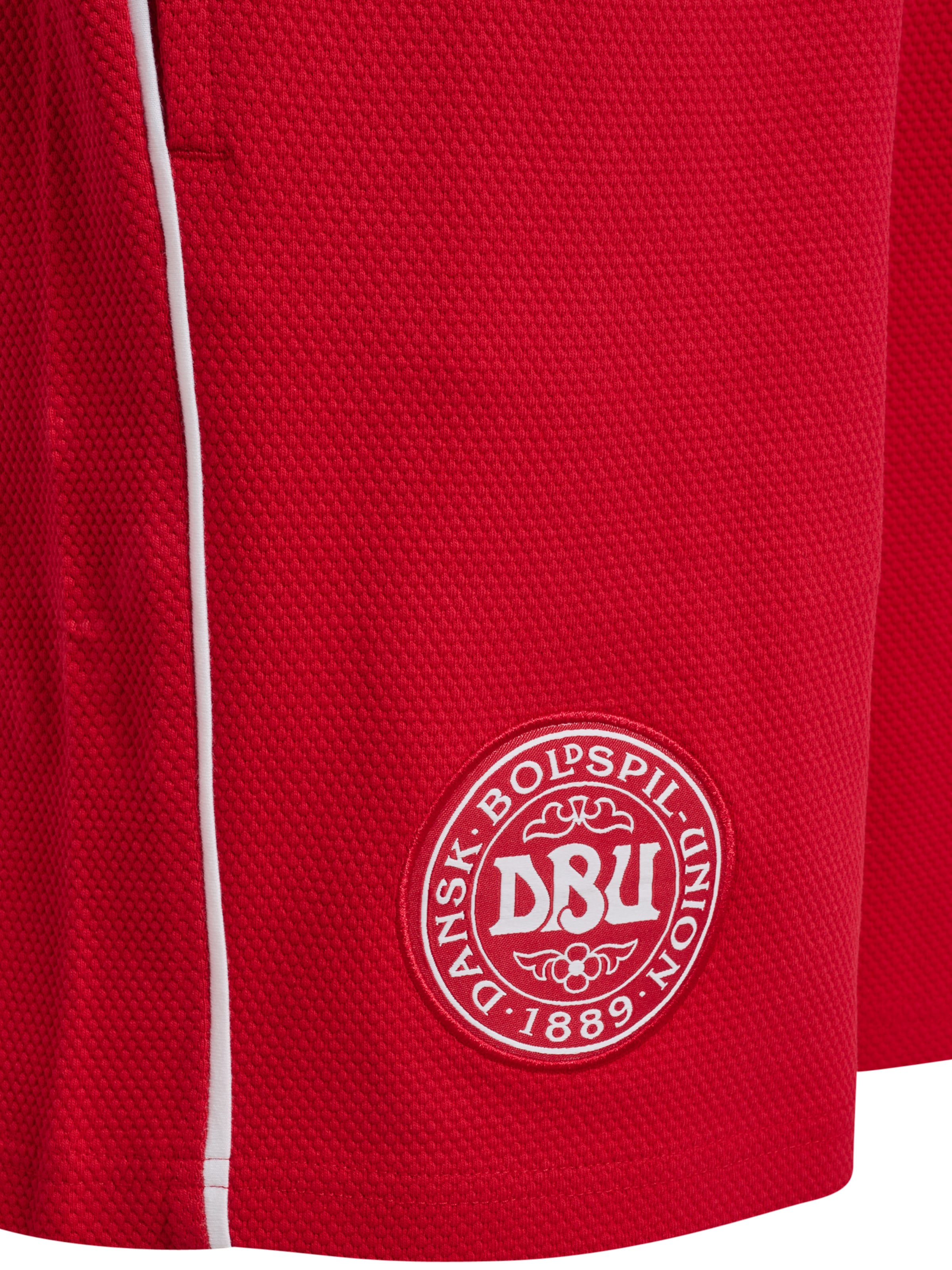Hummel Regular Sports trousers 'DBU 26' in Red