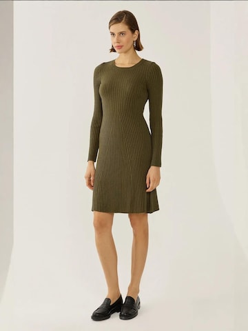 Hiccup Kleid in Grün