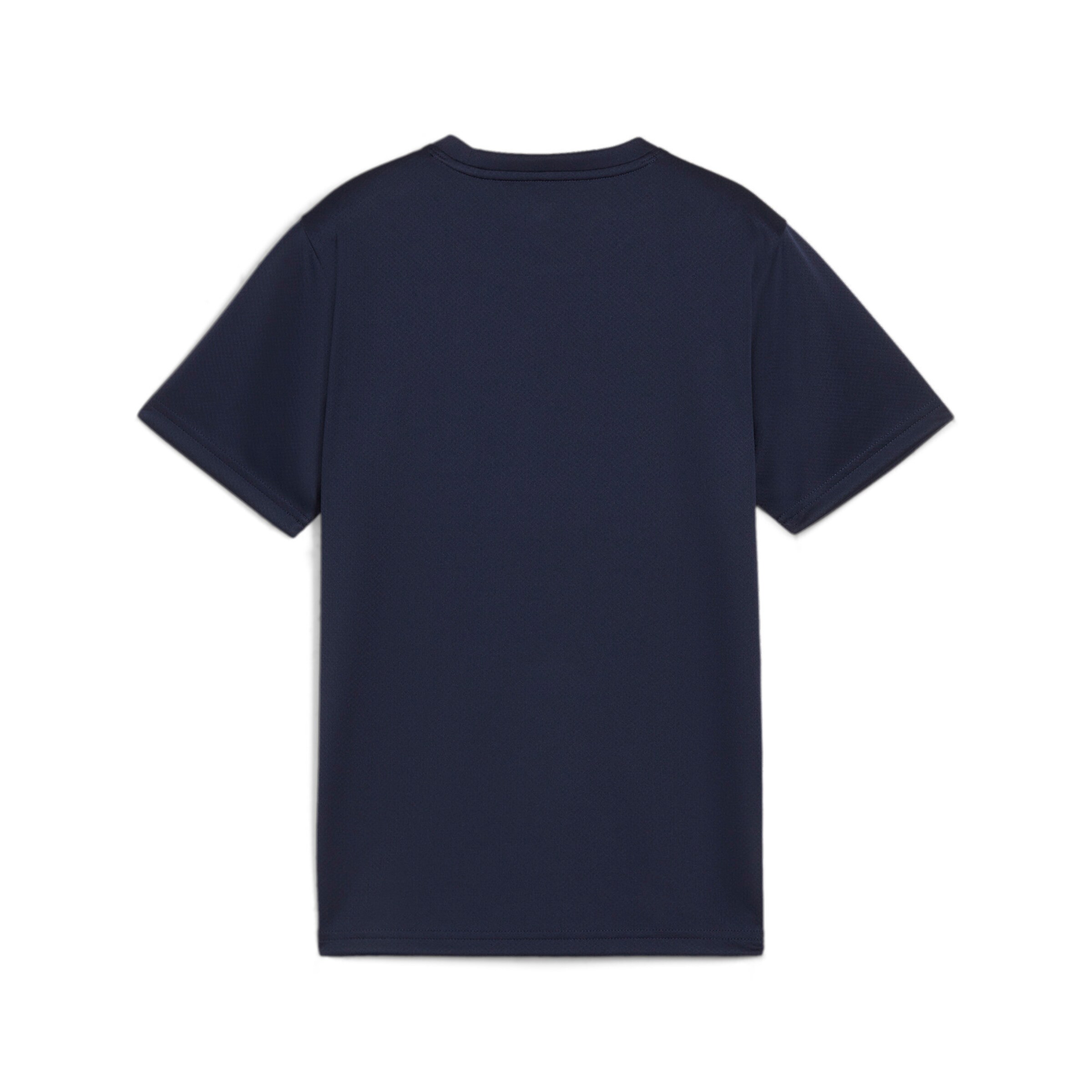 PUMA Performance Shirt 'TeamGoal' in Blue