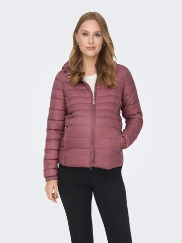 Only Maternity Between-Season Jacket in Brown: front