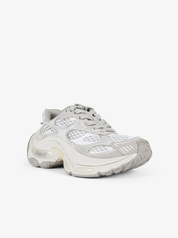 Sneaker bassa 'Dragon 01' di ASH in grigio