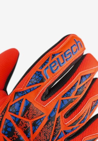 REUSCH Athletic Gloves 'Attrakt Silver NC' in Blue