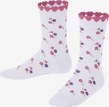 FALKE Socks 'Ditsy Flowers' in White: front