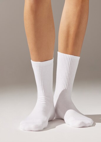 CALZEDONIA Socks in White: front