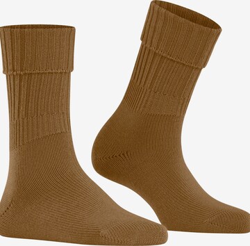 FALKE Socken 'Striggings Rib' in Braun: Vorderseite