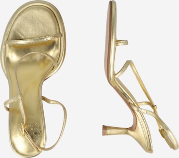 Ted Baker Sandals Myloh in Gold ABOUT YOU
