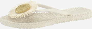 Tongs 'Cheerful 16' ILSE JACOBSEN en blanc : devant
