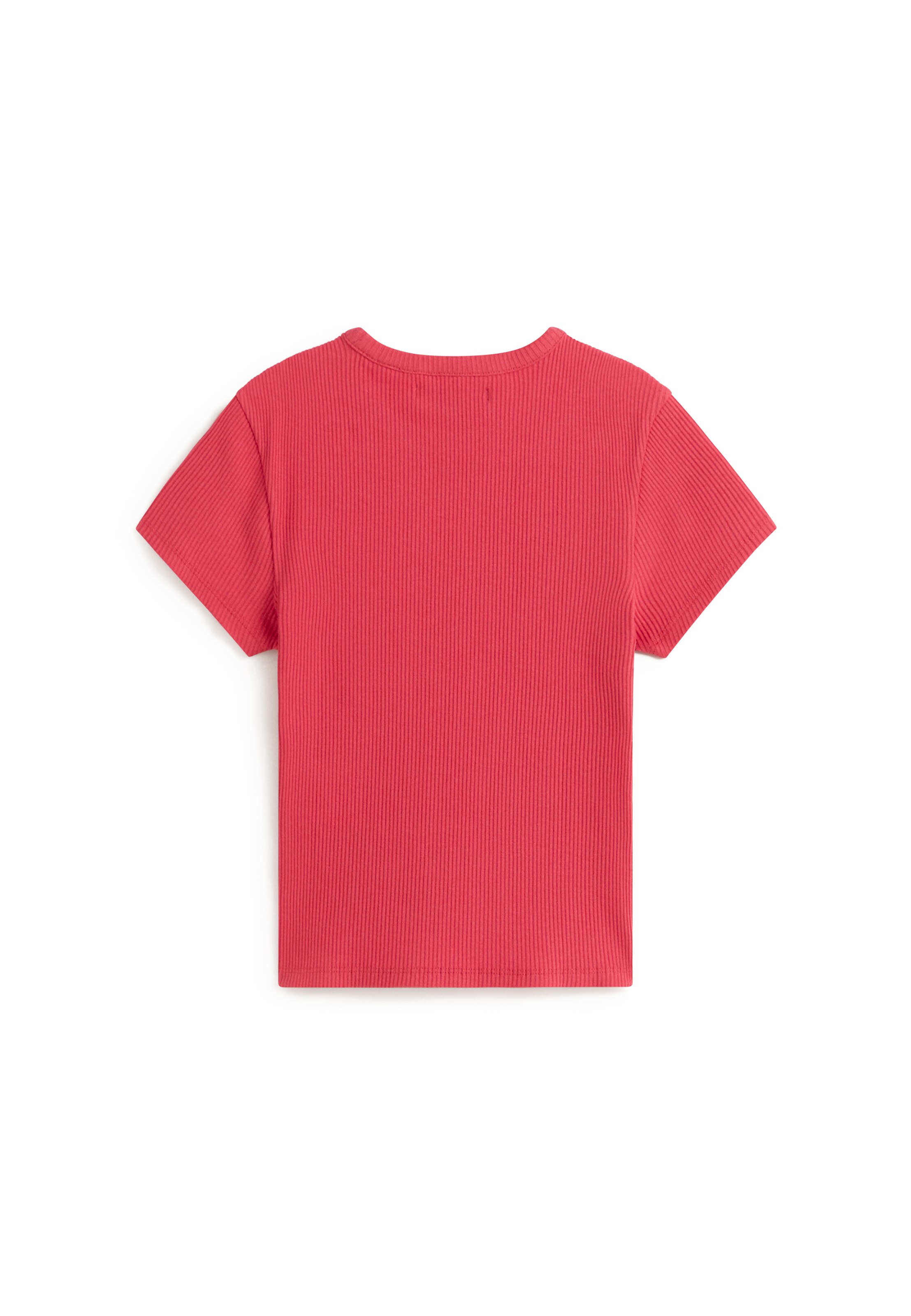 VANS Футболка 'Cameron' в Красный