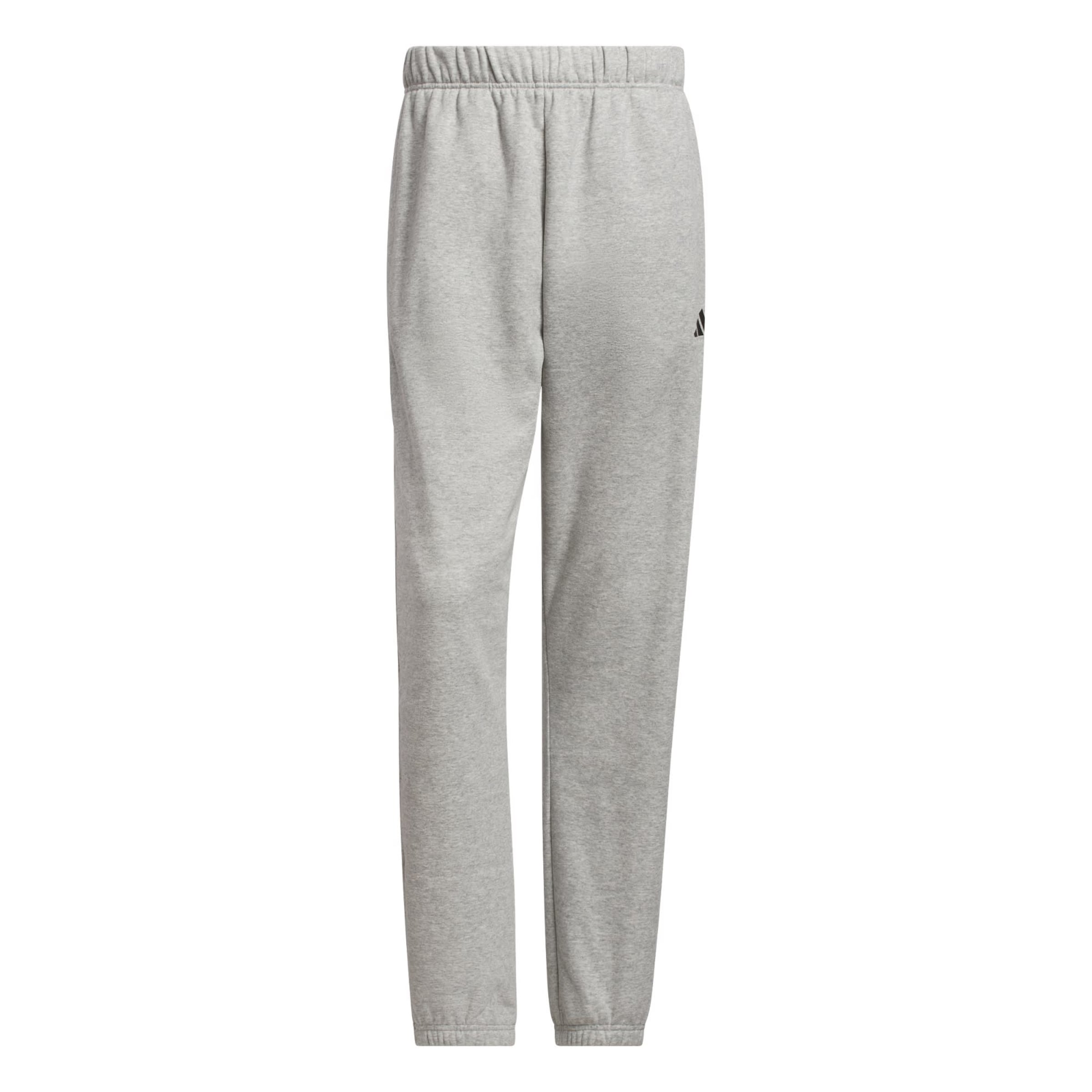 ADIDAS PERFORMANCE - Loosefit Pantalón deportivo en gris: frente