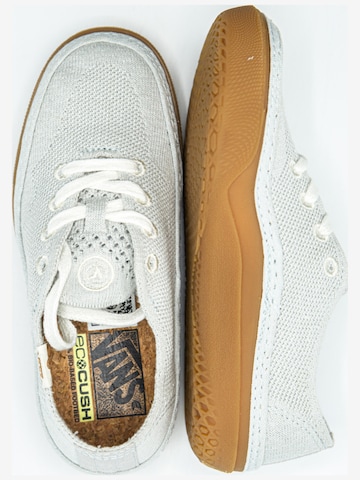 Baskets basses 'Vans Circle Vee' VANS en gris