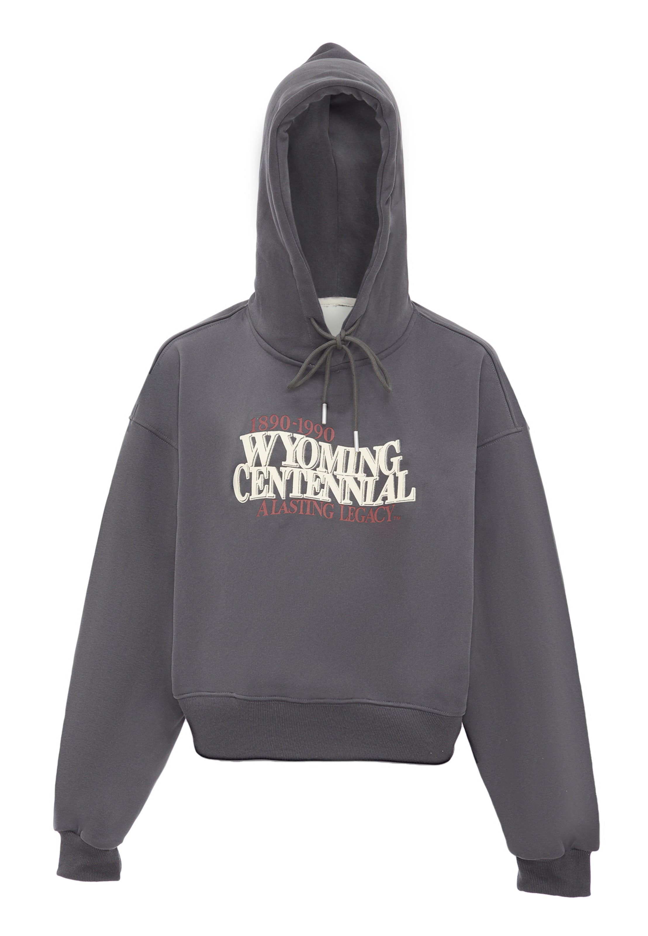 HOMEBASE Свитшот в Серый