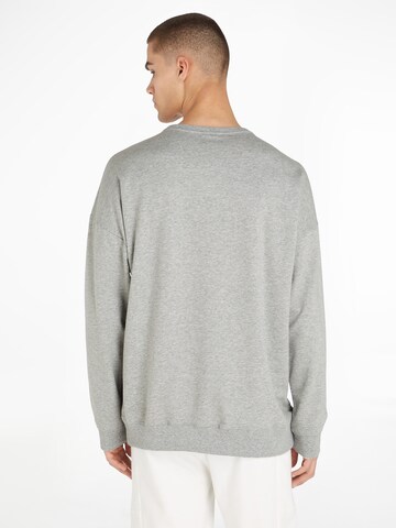 Calvin Klein Dressipluus, värv hall: tagant vaates