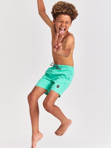 Shiwi Board Shorts 'Magic Crab' in Green