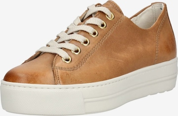 Sneaker bassa di Paul Green in marrone: frontale