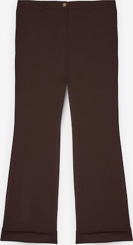 Pantalon Fiorella Rubino en marron : devant