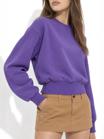 Busem Sweatshirt 'Sweatshirts' in Purple