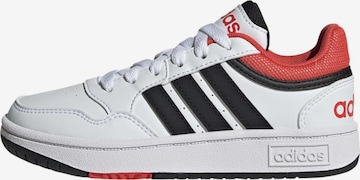 ADIDAS ORIGINALS - Zapatillas deportivas 'Hoops 3' en blanco: frente