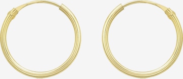 Lucardi Oorbellen 'Klassisch' in Goud: voorkant