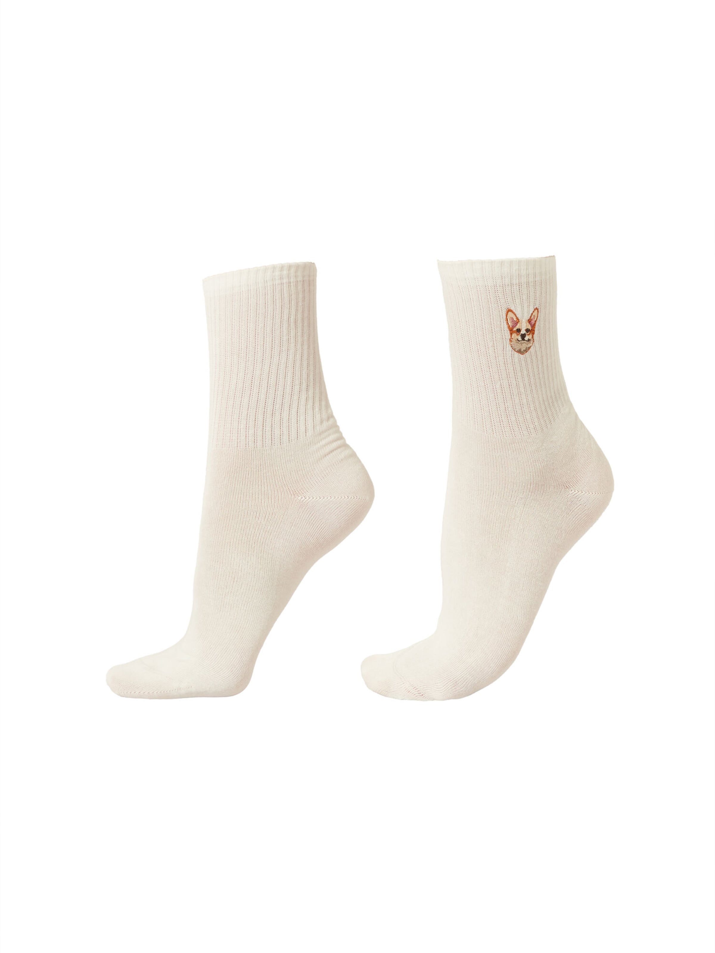 CALZEDONIA Socks 'Dog' in White: front