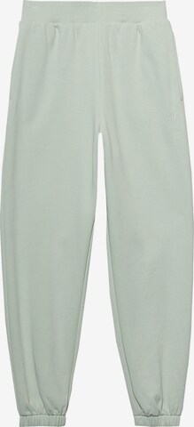 Regular Pantaloni sport de la 4F pe verde: față