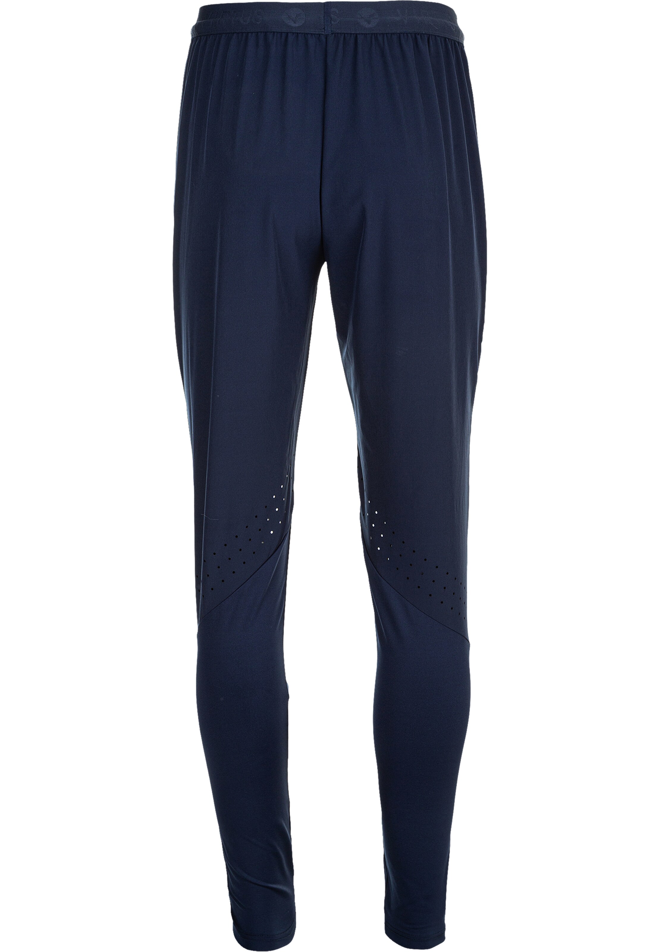 Virtus Tapered Trainingshose 'BLAG V2' in Blau