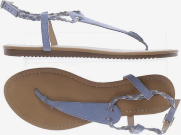 Anna Field Sandals & High-Heeled Sandals in 38 in Blue: front