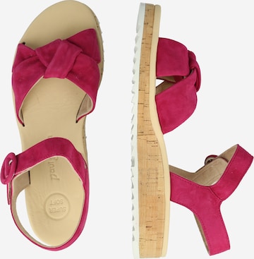 Paul Green Sandals in Pink