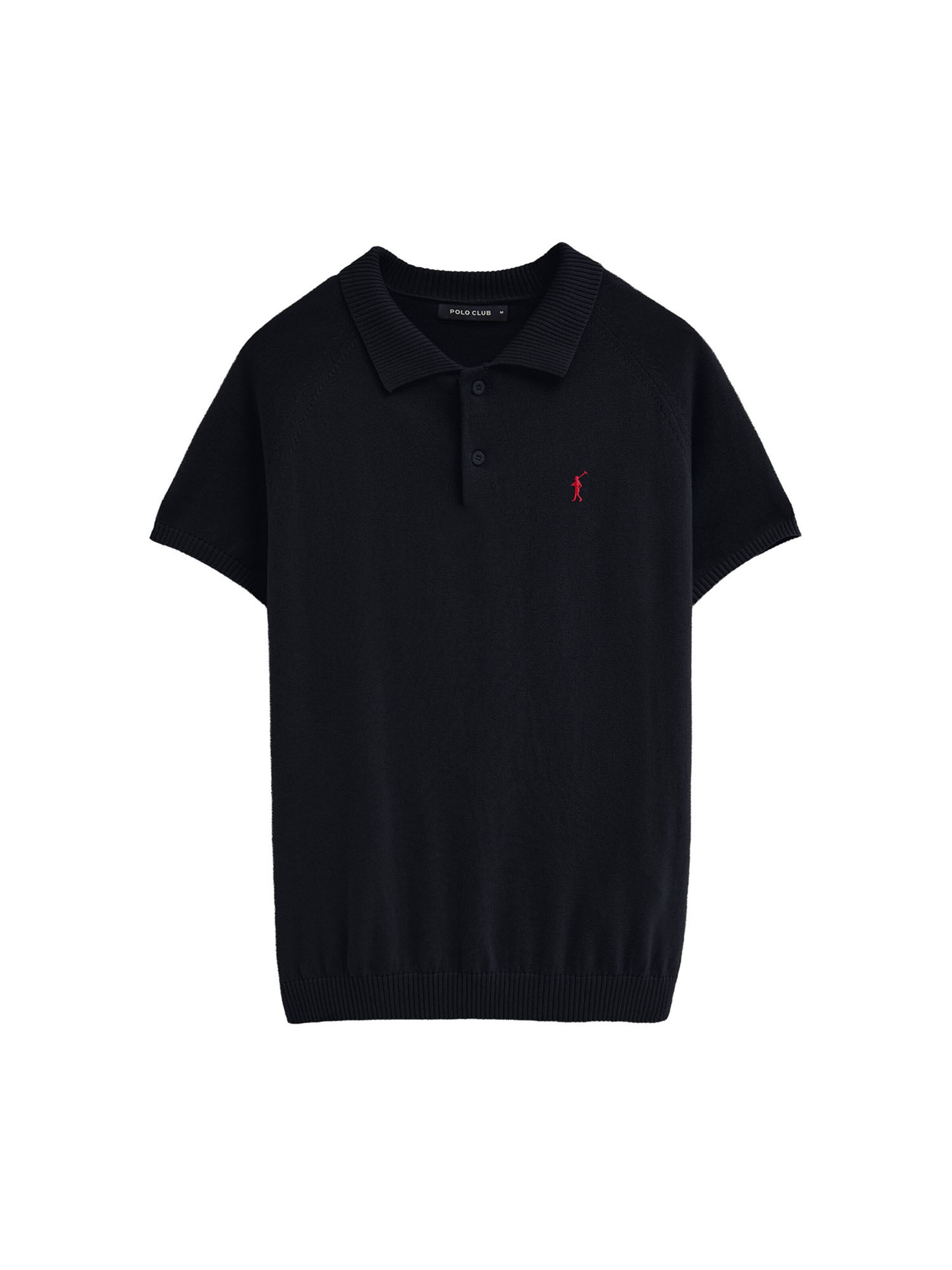 Polo Club Sweater in Blue: front