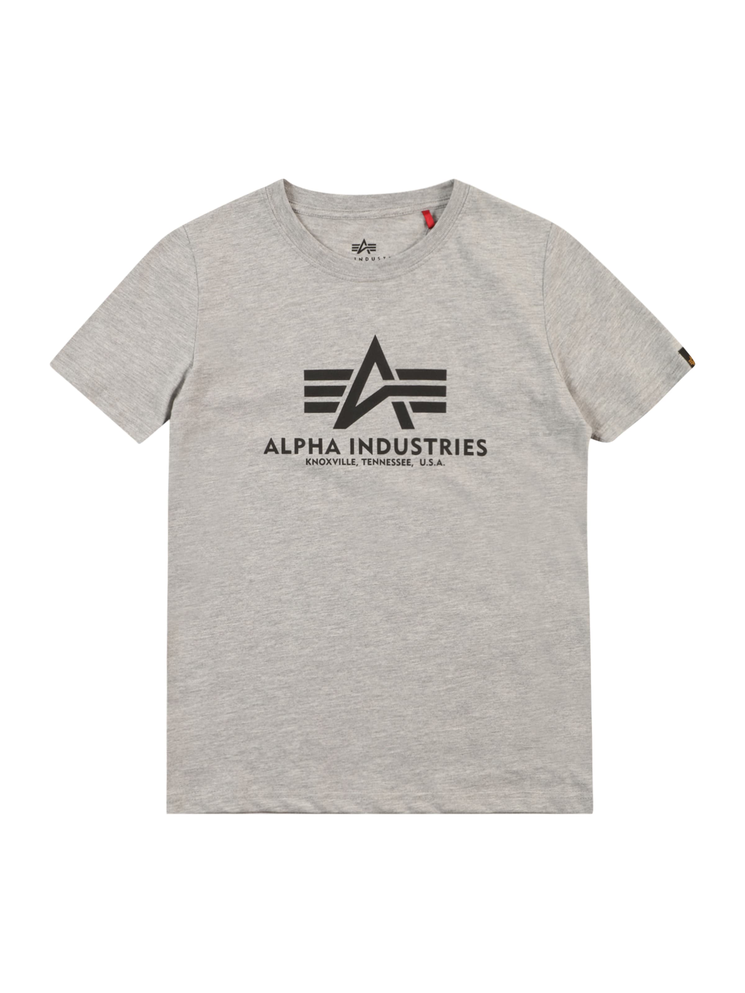 ALPHA INDUSTRIES Shirt in Grijs: voorkant