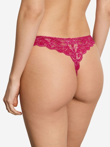 Hanro Thong 'French Lace' in Purple