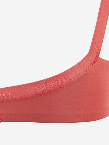 ESPRIT Push-up Bra in Orange