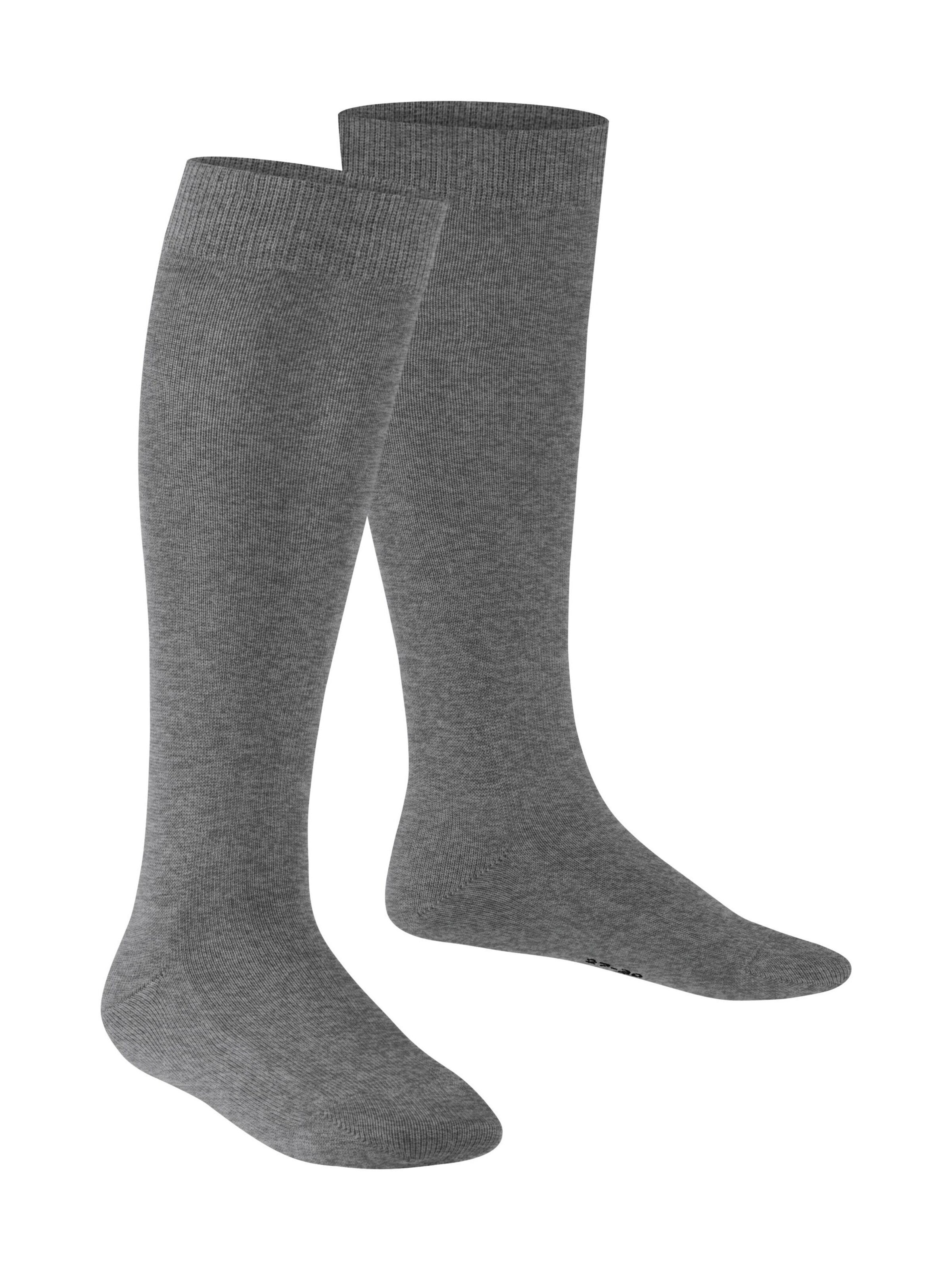 FALKE Socks 'Family' in Grey