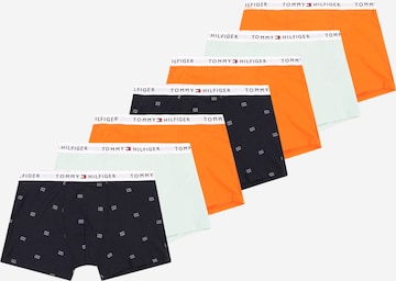 TOMMY HILFIGER Underpants in Blue: front