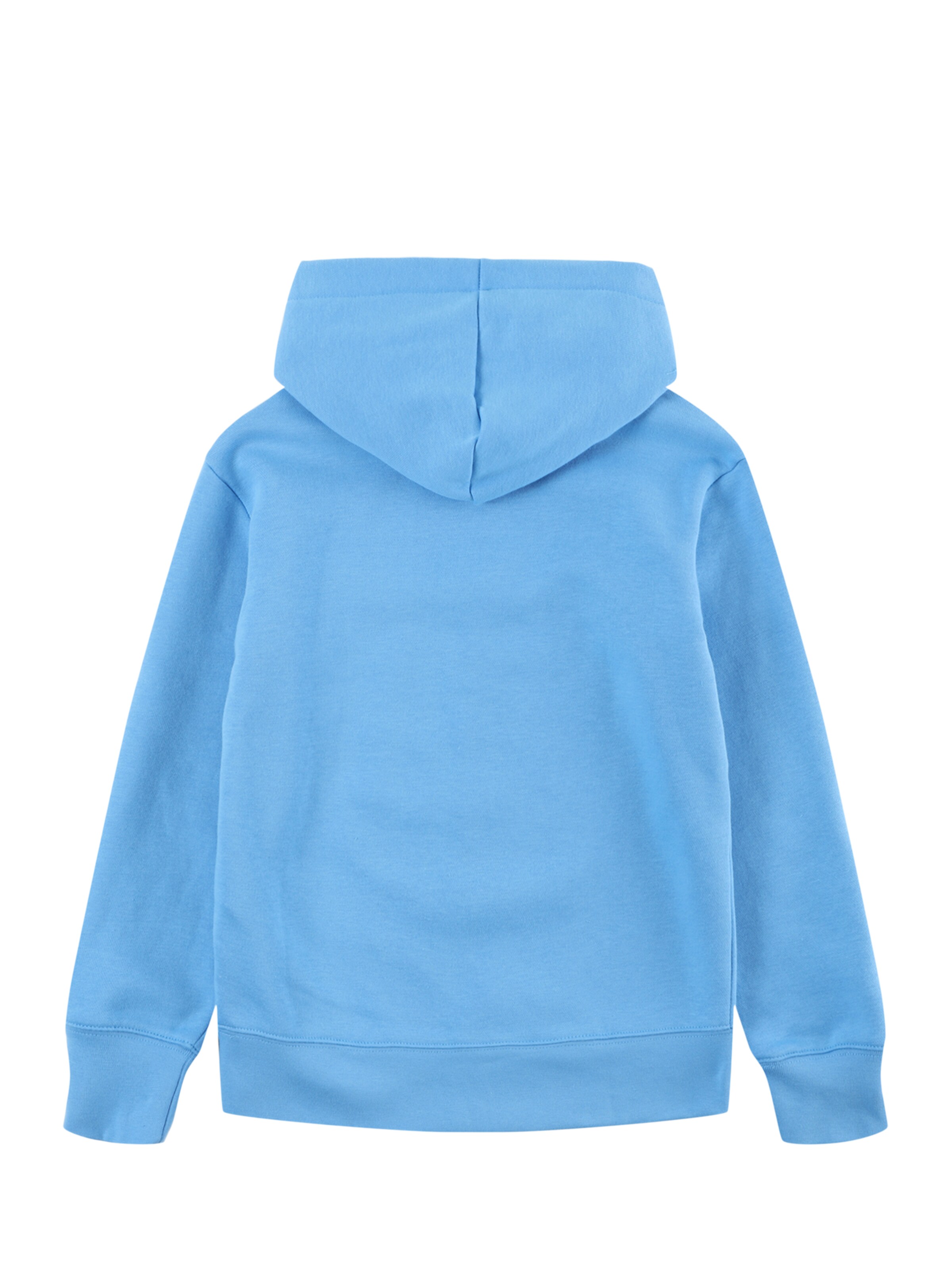 Jordan Sweatshirt i blå