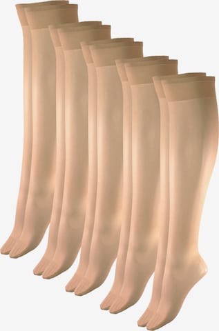 Esda Knee High Socks in Beige: front