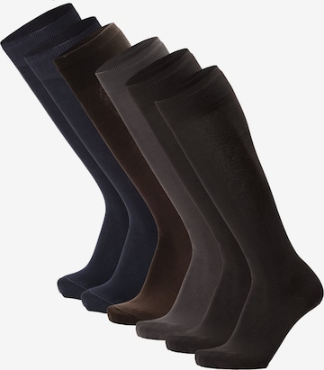 Ciocca Knee High Socks in Mixed colors: front