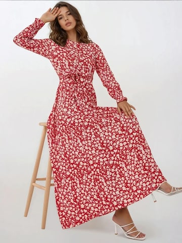 Hiccup Kleid in Rot