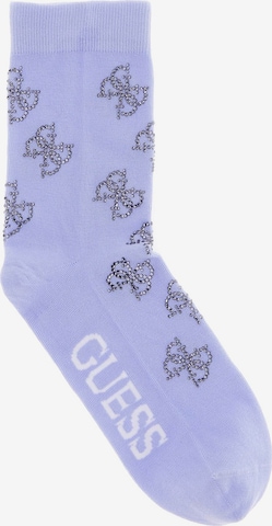 GUESS Socks in Purple: front