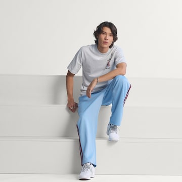 ADIDAS PERFORMANCE T-Shirt in Grau