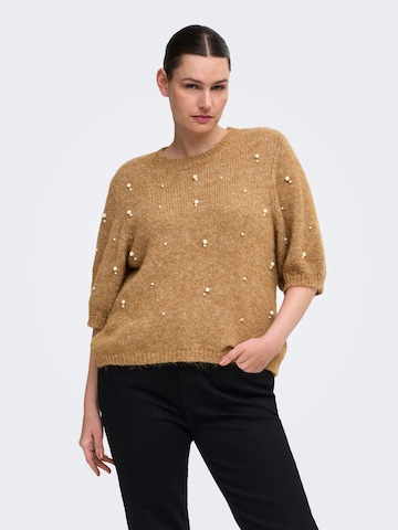 ONLY Carmakoma Pullover 'CARDOLLY' in Braun: Vorderseite