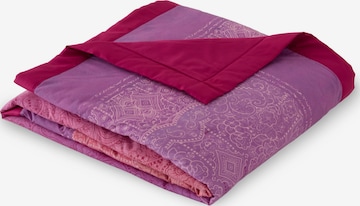 BASSETTI Blankets in Pink: front