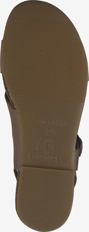 COSMOS COMFORT Strap Sandals in Brown