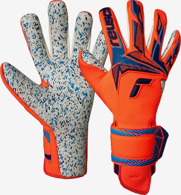 REUSCH Torwarthandschuhe 'Attrakt Freegel Fusion' in Blau: Vorderseite