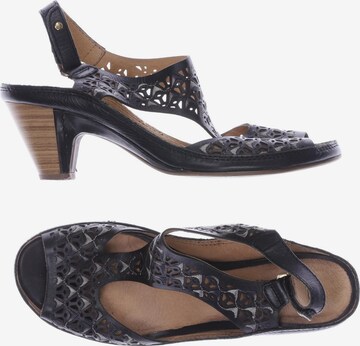 PIKOLINOS Sandals & High-Heeled Sandals in 38 in Black: front