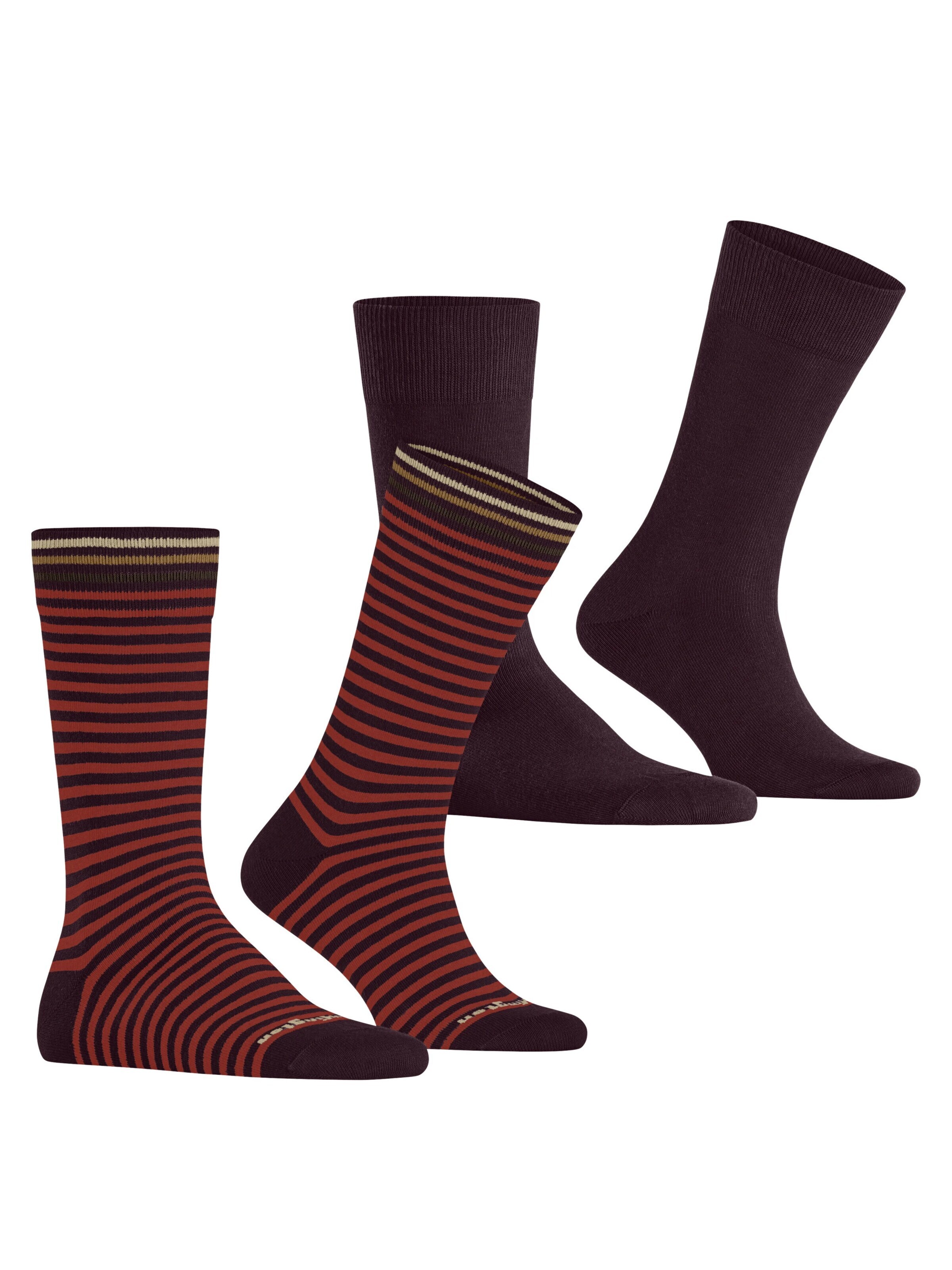 BURLINGTON Socks 'Everyday Stripe 2-Pack' in Purple
