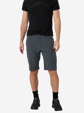 SWEDEMOUNT Regular Outdoorbroek 'Glittertind' in Groen: voorkant