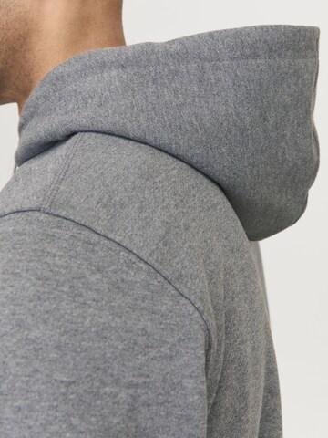 Felpa 'RDDKALID' di R.D.D. ROYAL DENIM DIVISION in grigio