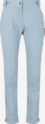 Whistler Regular Outdoor Pants 'Downey' in Blue: front