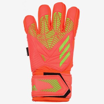 ADIDAS PERFORMANCE Athletic Gloves 'Predator Edge' in Orange