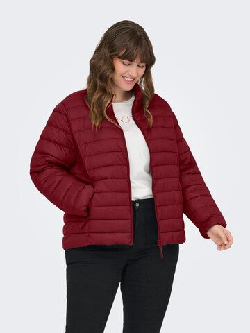 ONLY Carmakoma Winter Jacket in Red: front